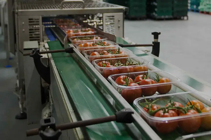 Плёнка для запайки лотков