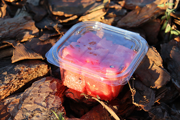 Новинка производства - контейнер РПСП-500