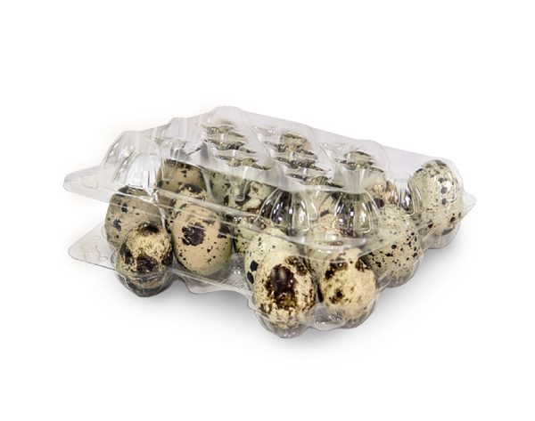 Купить бокс перепелиных яиц (20 ячеек), 156х136х37 мм от компании РоссПак