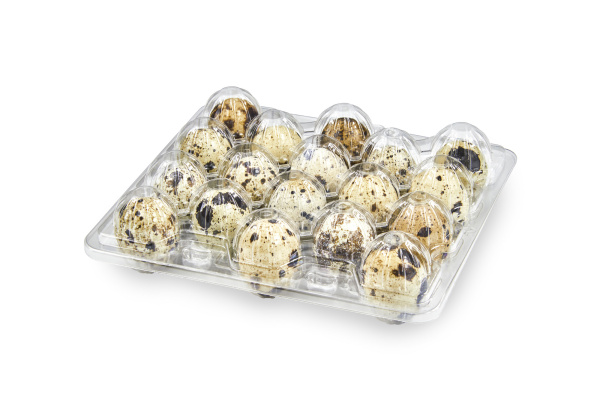 Купить бокс для перепелиных яиц (18 ячеек), 159х137х36 мм от компании РоссПак